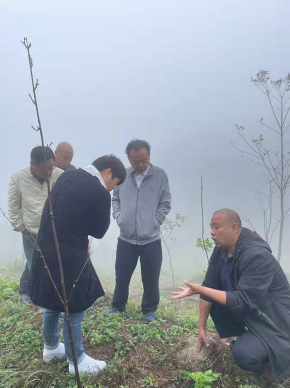 1633926476297081.png 图片8.png